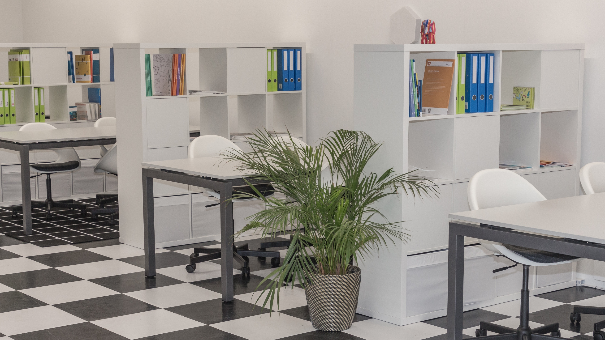 Headerbild fit4school Kloten